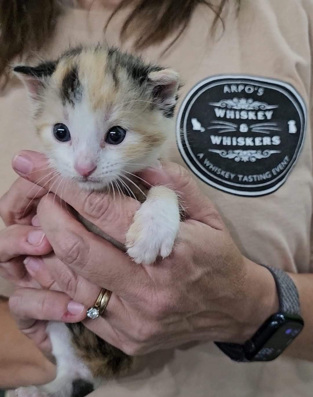 Whiskey and Whiskers